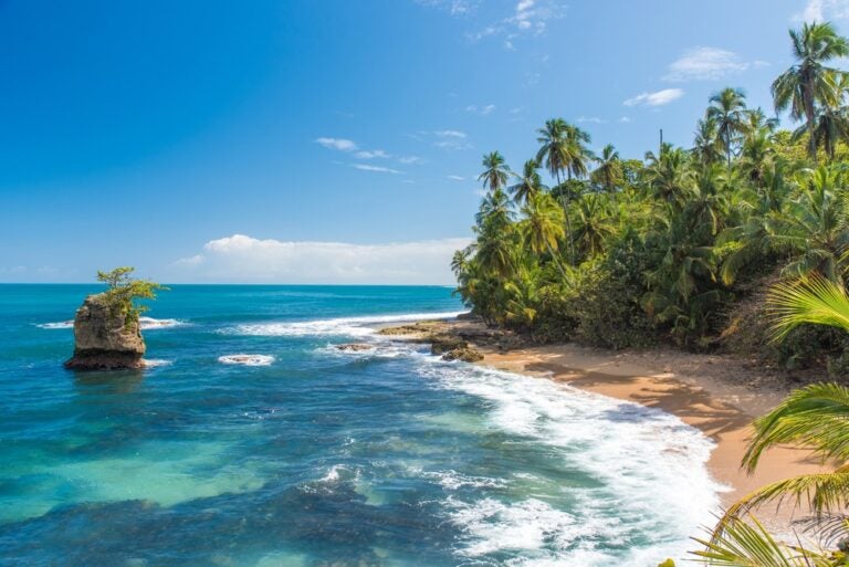 Spiaggia caraibica selvaggia di Manzanillo a Puerto Viejo, Costa Rica.