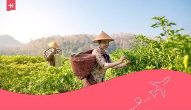 lavorare in indonesia