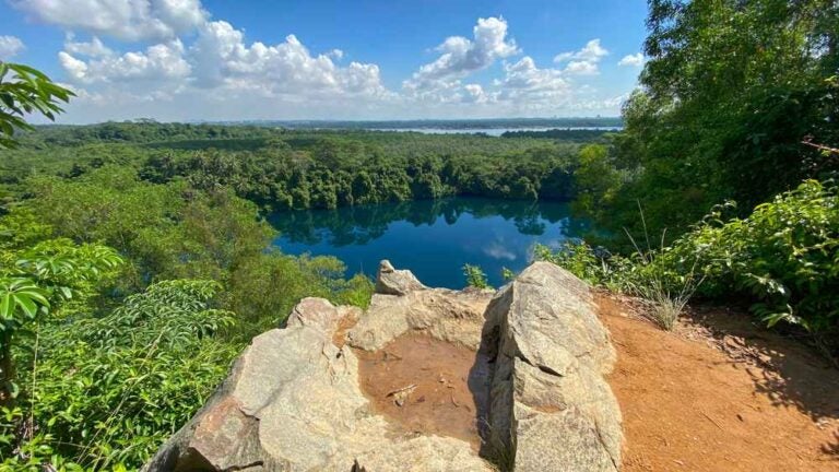 La cima del Bukit Puaka sull’isola di Pulau Ubin, al largo di Singapore, con il lago artificiale, la fitta foresta che fa da sfondo alle nuvole bianche e al cielo azzurro
