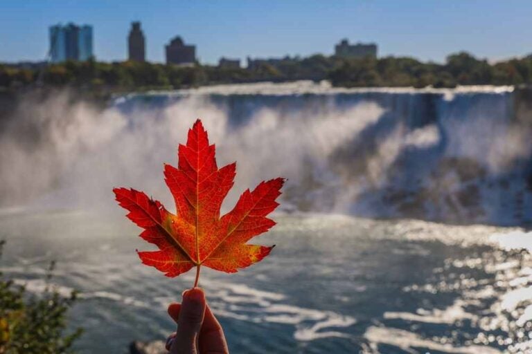 Vista delle cascate del Niagara in Canada durante l'autunno