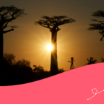 Contenuti di Holafly sul volontariato in Madagascar