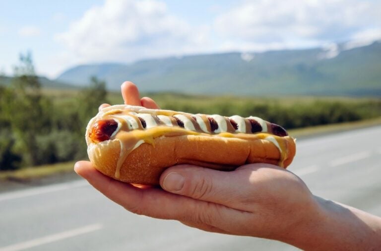 Un uomo con in mano un gustoso hot dog islandese tipico della zona, chiamato “pylsur”.