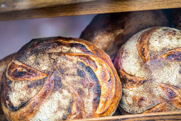 Vetrina di un panificio-caffetteria in via Laugavegur con primo piano ravvicinato di pane fresco fatto in casa con lievito madre e farina integrale.