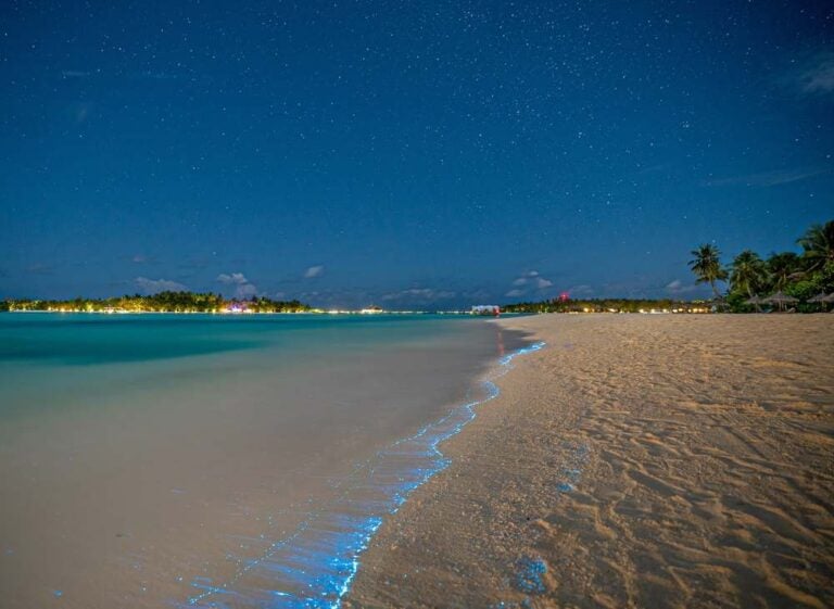 Bioluminescenza. Illuminazione del plancton alle Maldive
