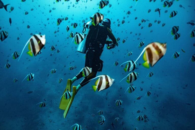 immersioni subacquee alle Maldive