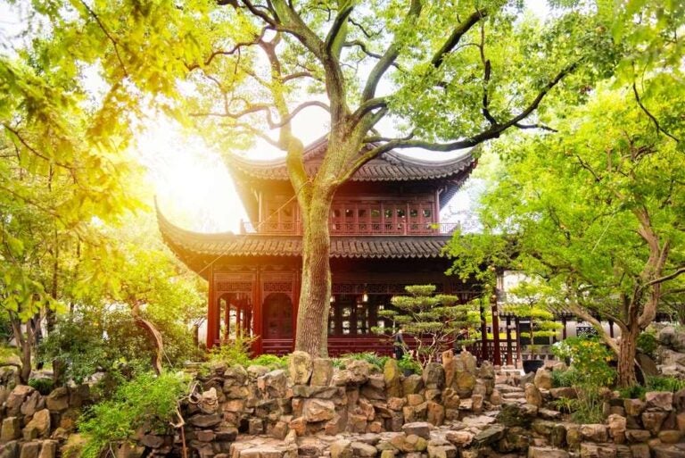 L'architettura tradizionale cinese tra gli alberi del Giardino Yu a Shanghai, in Cina.