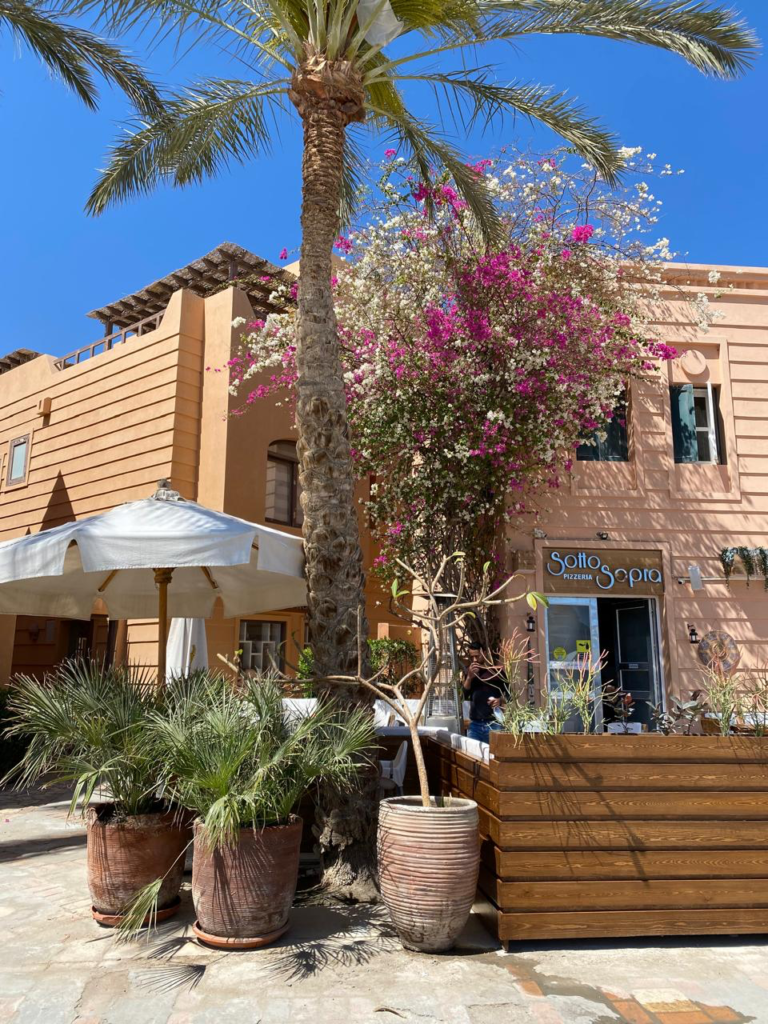 Gouna - Marina