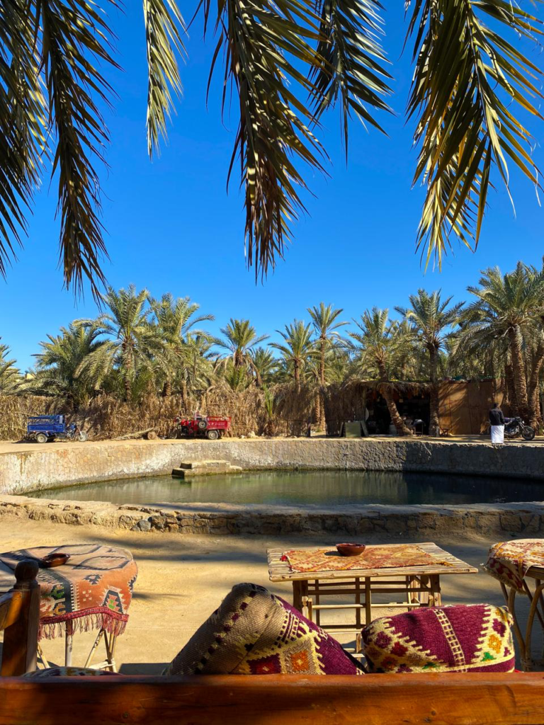 Oasi di Siwa - Sorgente naturale