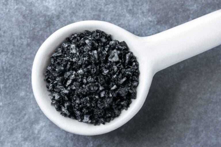 Sale nero di lava su un cucchiaio
