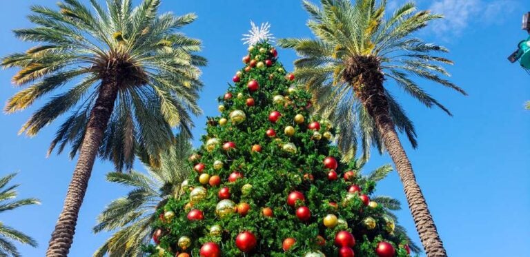 Albero di Natale a Miami South beach.