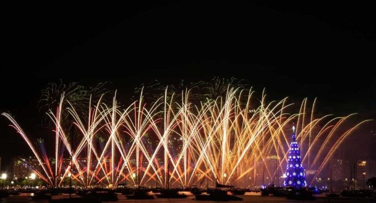 Inaugurazione dell’Árvore do Rio, Rio de Janeiro.