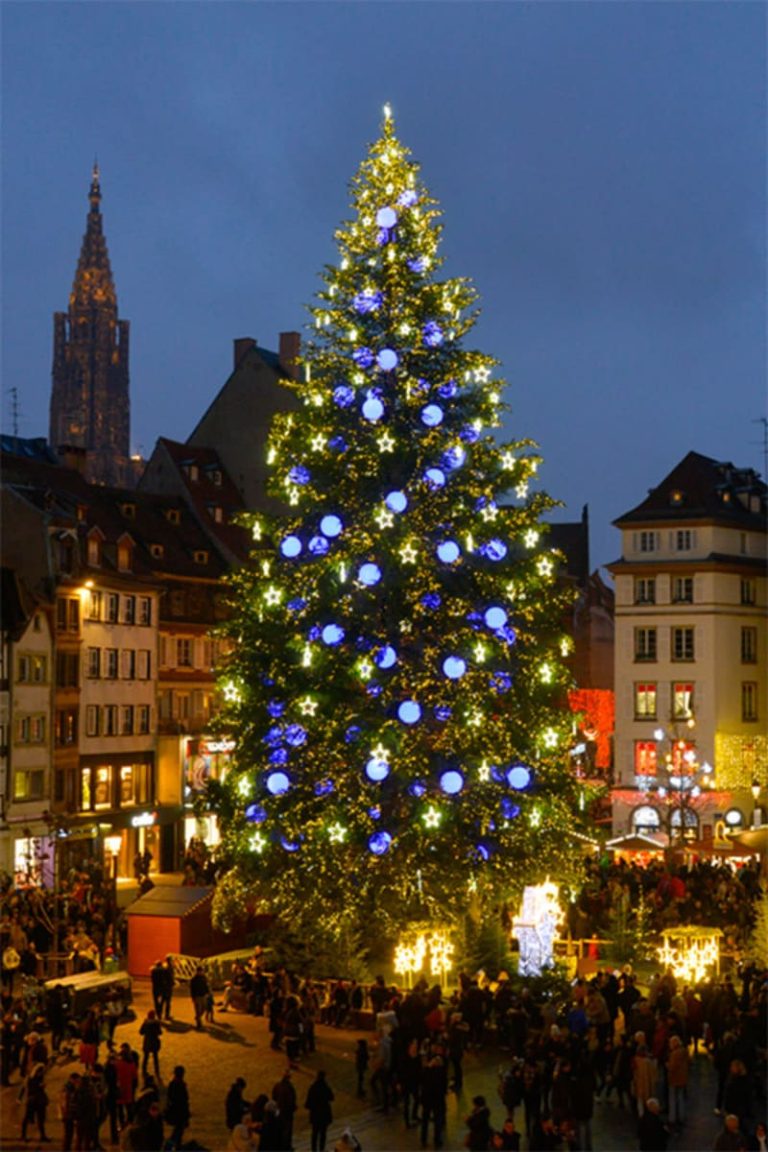 스트라스부르 크리스마스 마켓 트리