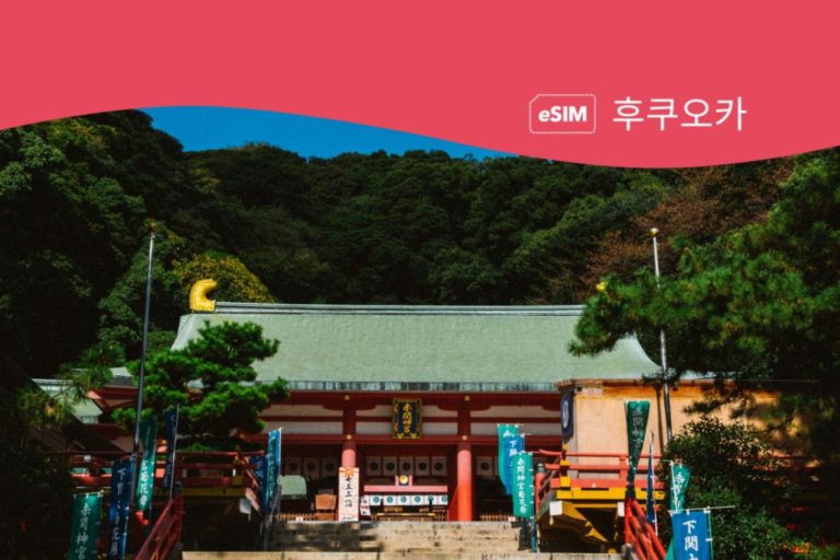 후쿠오카 eSIM