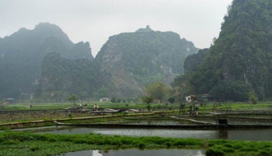 베트남 우기