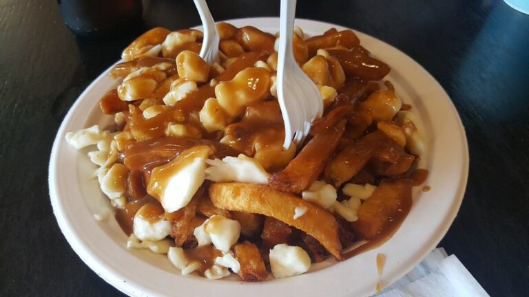 캐나다 전통 음식 푸틴