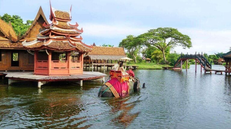 태국 수상 시장에서 코끼리를 타고 이동하는 관광객