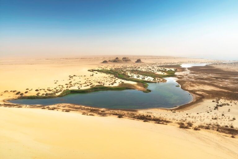 이집트 사막 한가운데 자리한 시와 오아시스의 아름다운 전경