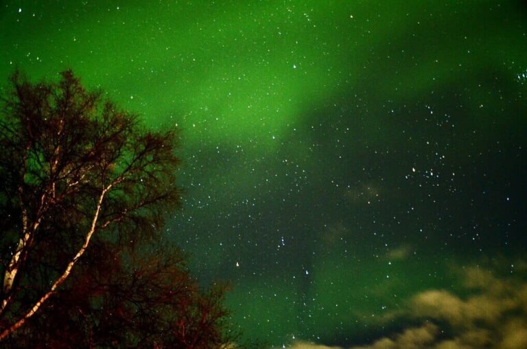 별이 가득한 하늘 위로 펼쳐진 녹색 오로라