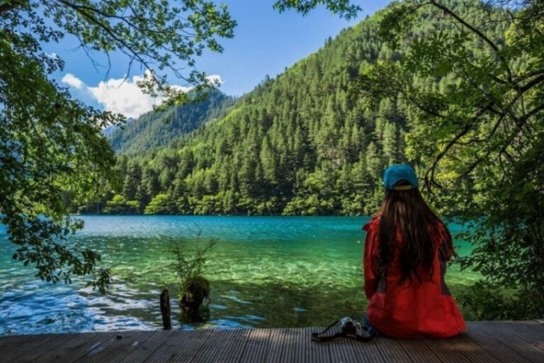 맑고 푸른 물과 숲이 어우러진 구채구 호수 풍경