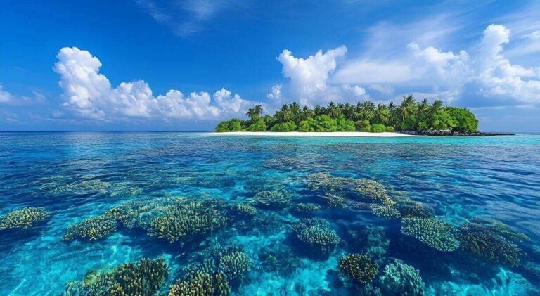 맑은 바다와 산호초가 어우러진 무인도