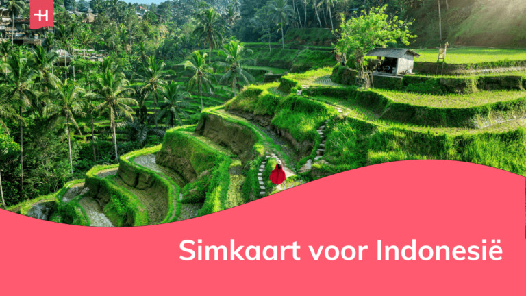 Foto van rijstvelden in Indonesië als uitgelichte afbeelding voor een pagina over simkaart Indonesië