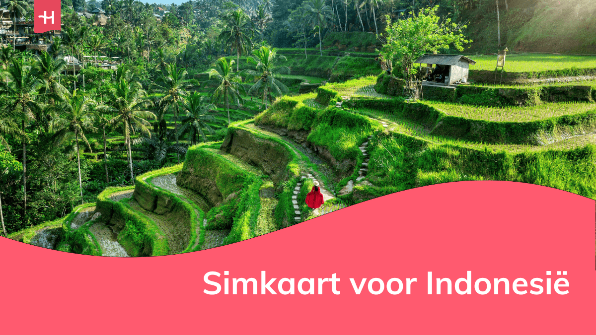 Foto van rijstvelden in Indonesië als uitgelichte afbeelding voor een pagina over simkaart Indonesië