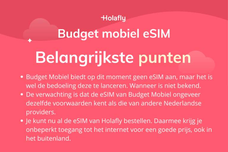 Afbeelding met een samenvatting over de belangrijkste punten over de eSIM van Budget Mobiel