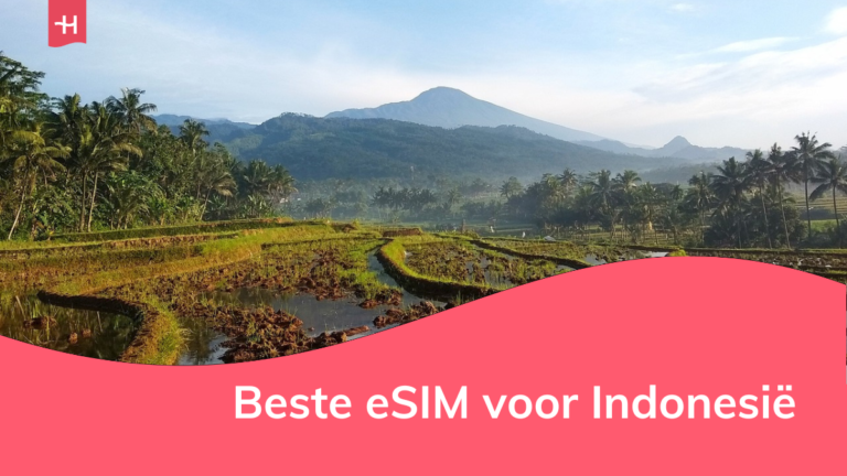 Foto van rijstvelden en een berg als uitgelichte afbeelding voor een pagina over de beste eSIM voor Indonesië