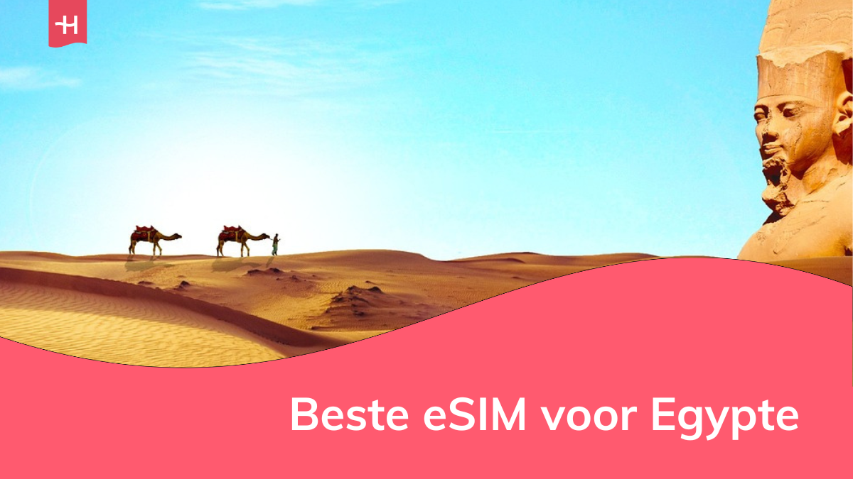 Foto van kamelen in de woestijn als uitgelichte afbeelding voor een pagina over "beste eSIM voor Egypte"