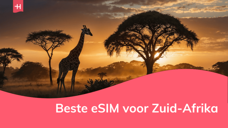 Foto van een giraf en boom als uitgelichte afbeelding voor een pagina over de beste eSIM voor Zuid-Afrika