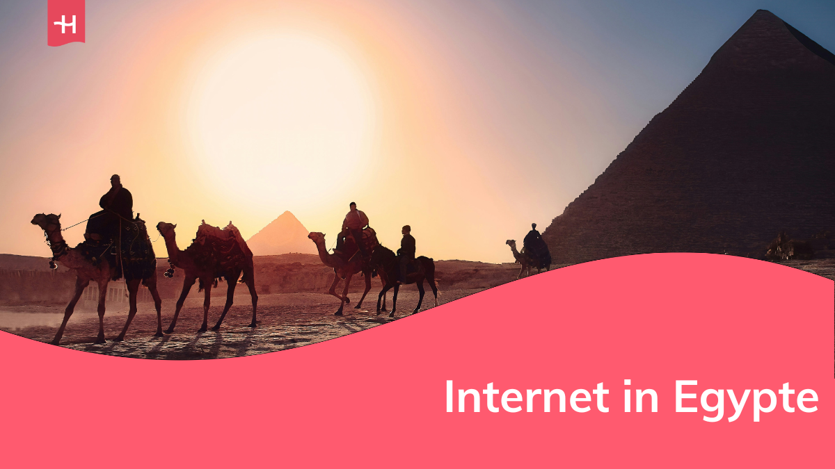 Foto van kamelen en piramides als uitgelichte afbeelding voor een pagina over internet in Egypte