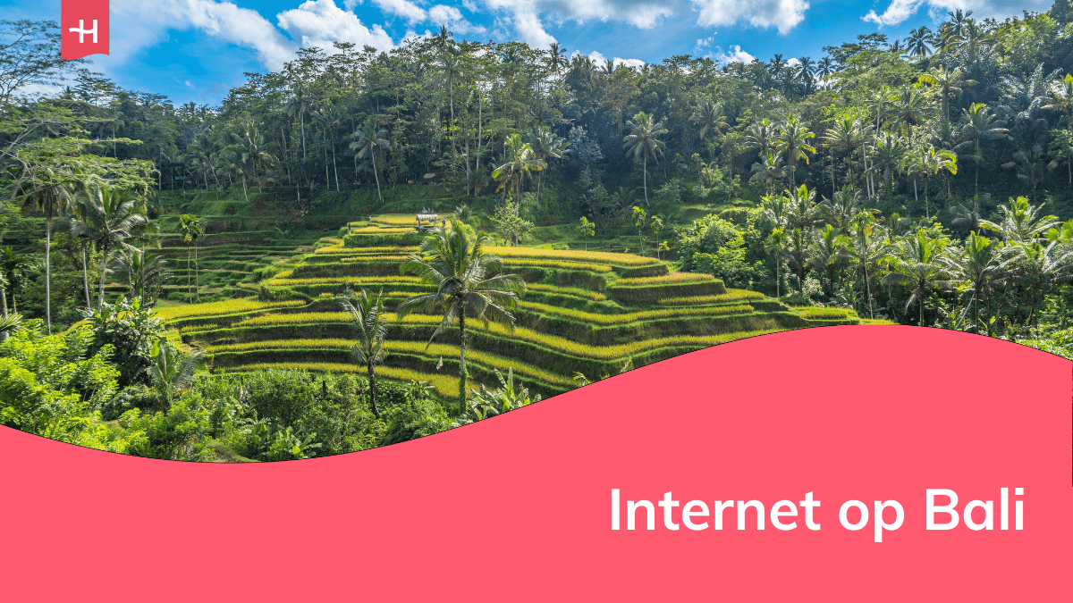 Foto van rijstvelden als uitgelichte afbeelding voor een pagina over internet op Bali