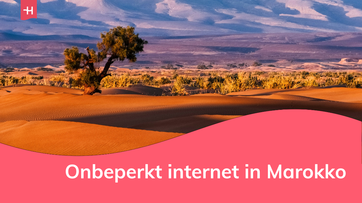 Foto van een boom in de woestijn als uitgelichte afbeelding voor een pagina over onbeperkt internet in Marokko