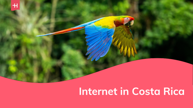 Foto van een kleurrijke papegaai als uitgelichte afbeelding voor een pagina over internet in Costa Rica