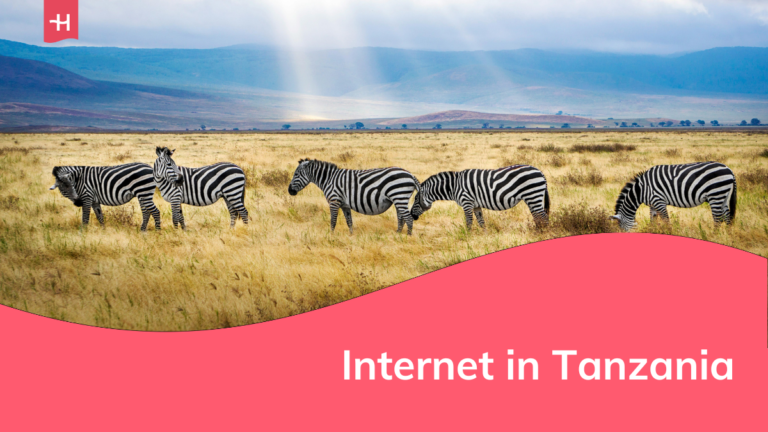 Foto van een kudde zebra's als uitgelichte afbeelding voor een pagina over internet in Tanzania