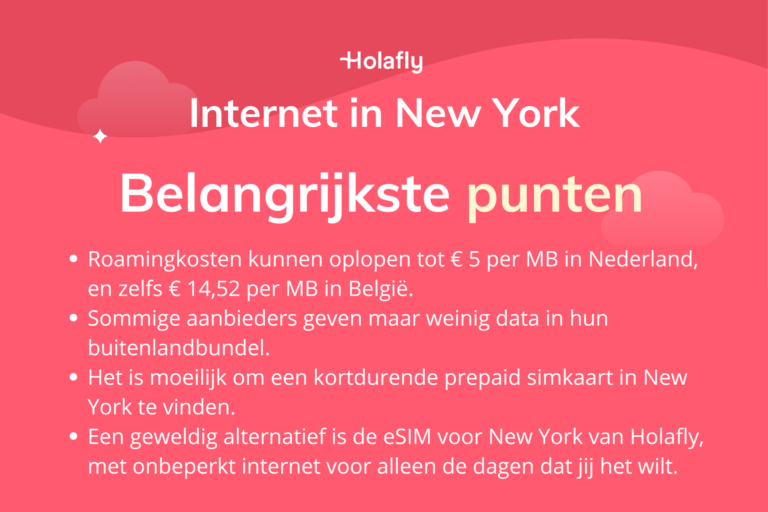 Afbeelding met daarop de belangrijkste punten over internet in New York samengevat