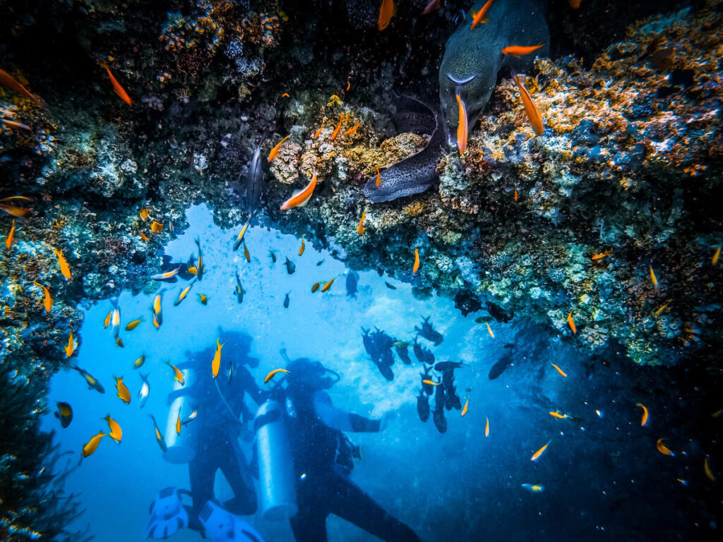 Foto van twee duikers die het onderwaterleven op Curaçao bewonderen