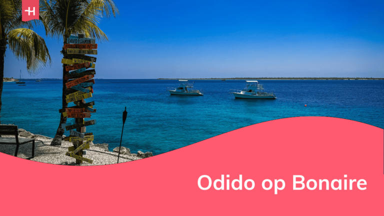 Foto van het strand bij Buddy Dive Resort op Bonaire als uitgelichte afbeelding voor een artikel over Odido op Bonaire