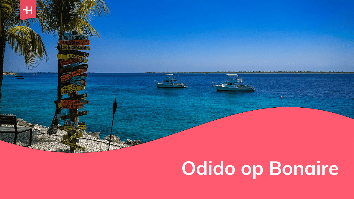 Foto van het strand bij Buddy Dive Resort op Bonaire als uitgelichte afbeelding voor een artikel over Odido op Bonaire