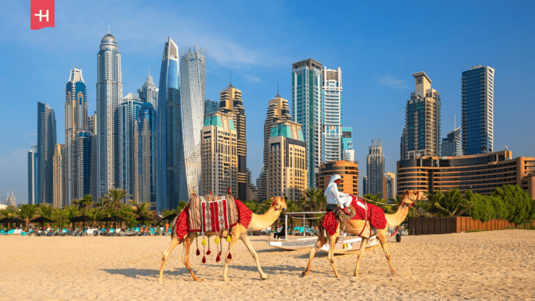 Foto van twee kamelen op de voorgrond met de skyline van Dubai op de achtergrond