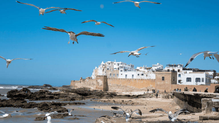 Sfeerbeeld van Essaouira, een van de mooiste steden van Marokko