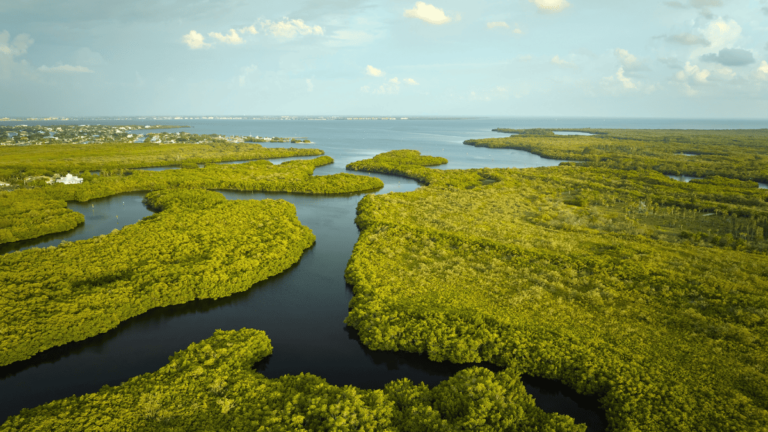 Sfeerbeeld van Everglades National Park