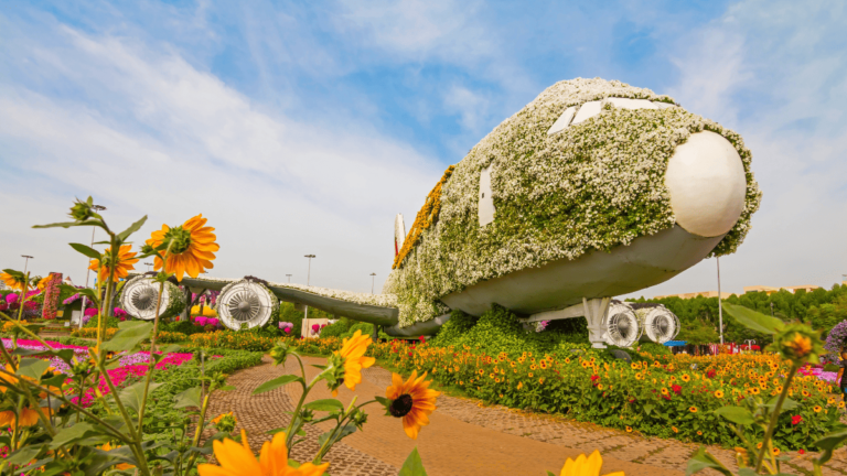 Foto van een Airbus A380 in de Miracle Garden Dubai
