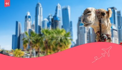 Foto van een kameel op de voorgrond en de wolkenkrabbers van Dubai op de achtergrond als uitgelichte afbeelding voor een artikel over de beste restaurants in Dubai