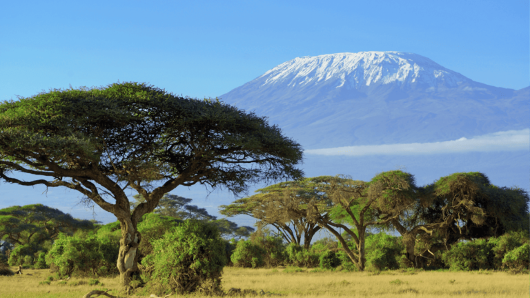 Kilimanjaro in Amboseli, Kenia, een van de beste vakantiebestemmingen in januari