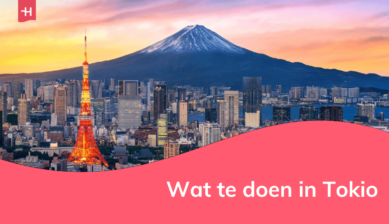 Foto van de stad Tokio met Mount Fuji op de achtergrond
