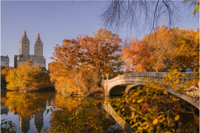 Foto van de Bow Bridge in Central Park, New York