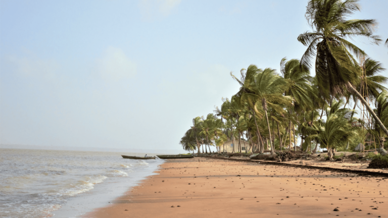 Foto van het strand in Galibi, Suriname
