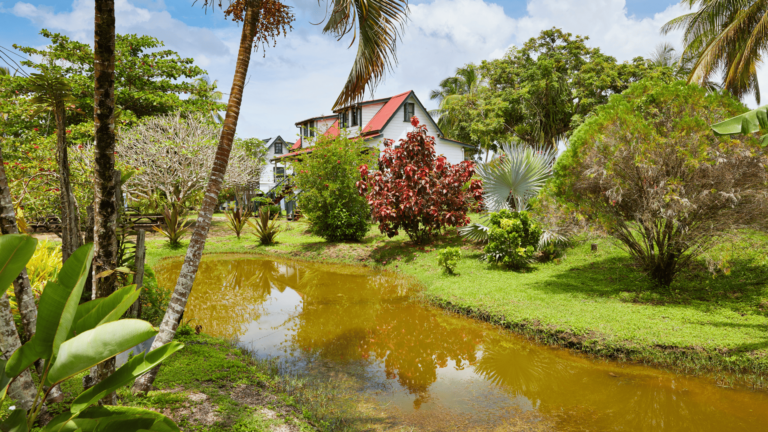 Foto van de voormalige plantage Frederiksdorp in Commewijne