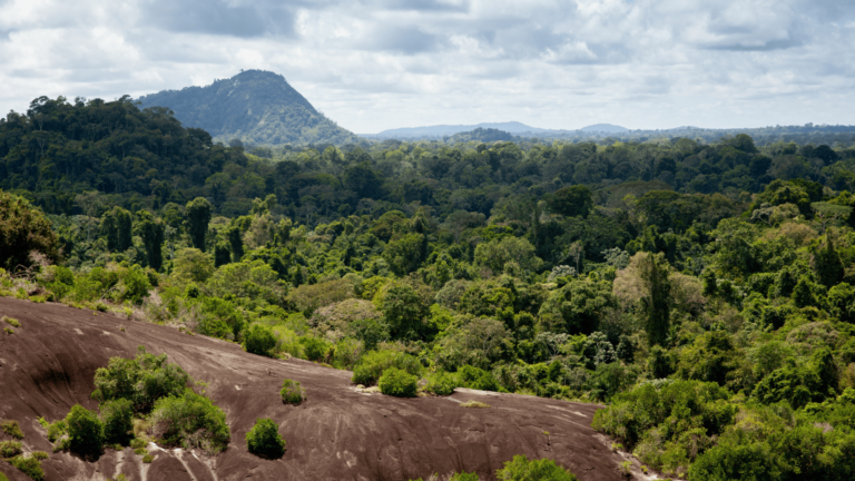 Foto van de Voltzberg in Suriname